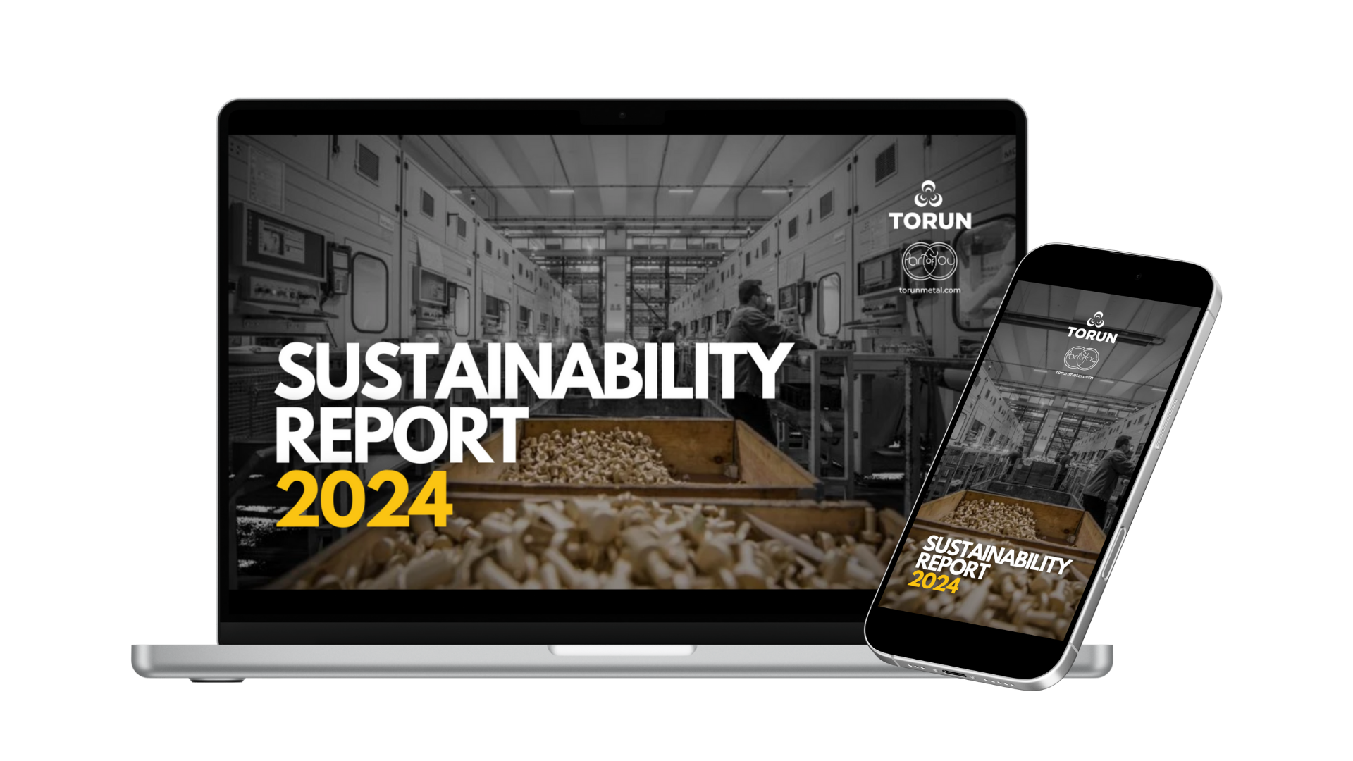 sust report 2024